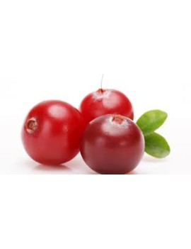 Cranberry (1 st - 200...