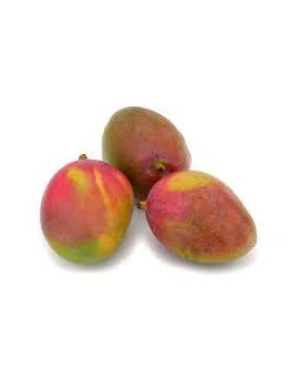 Mangue Tommy Atkins (4...