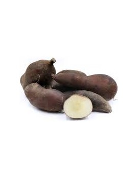 Yacon (5 kg) - cat. 2...
