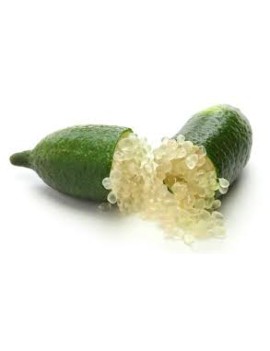 Citron caviar (2 kg) -...