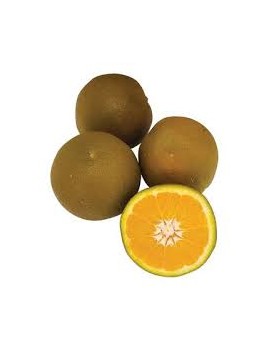 Orange chocolat (10...