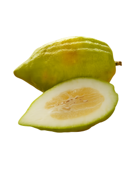 Cedrat (6 kg) - cat. 2...