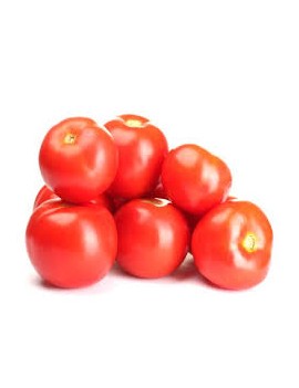 Tomate ronde cal....