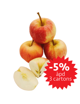 Gala appel kal. 95/130...