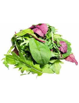 Mesclunsalade (1 kg) -...