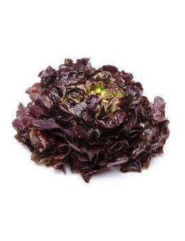 Salade feuille de...