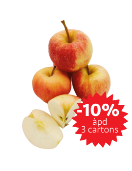 Pomme Gala cal. 95/130...