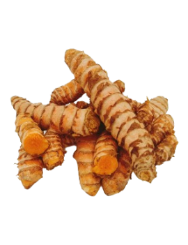 Curcuma (2 kg) - cat....