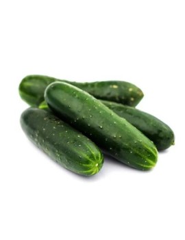 Noa cucumber (5 kg) -...