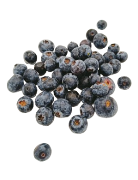 Myrtille (1 barquette...