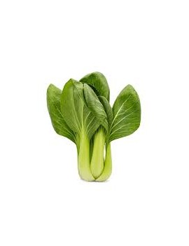 Pakchoi (1 pc) - cat....