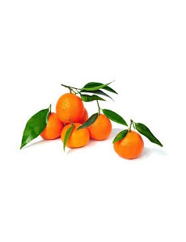 Clementine met blad (6...