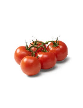 Tomate grappe (5 kg) -...