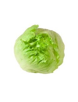 Icebergsla (1 st) -...