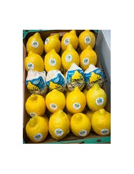 Citron Cedron cal. 2/3...
