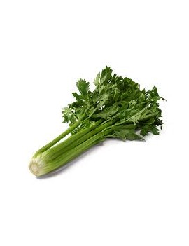 Céleri (6 kg) - cat. 2...