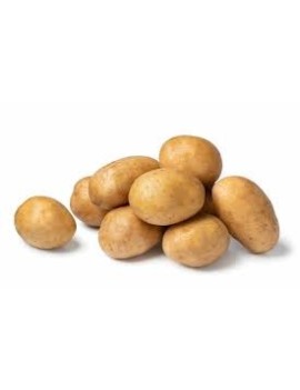 Aardappel Nicola (15...