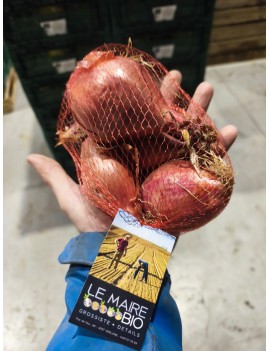 Sjalottenfilet (500...