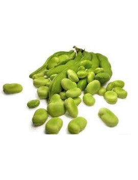 Boon (5 kg) - cat. 2...