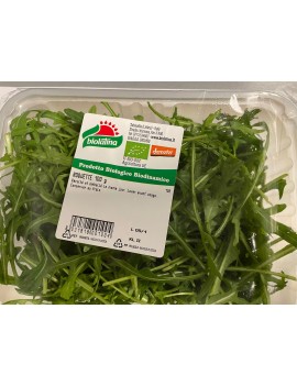 Rucola (1 bakje - 100...