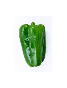 Poivron vert mi-long...