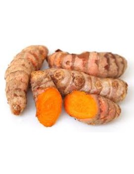Curcuma jeune (2 kg) -...