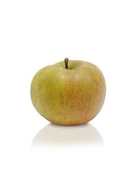 Boskoop-appel (11 kg)...
