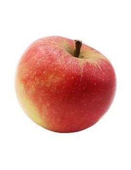 Elstar-appel (11 kg) -...