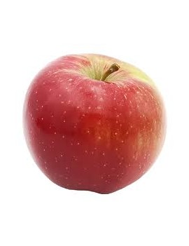 Pomme Melrose (11 kg)...