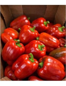 Rode paprika - niet...