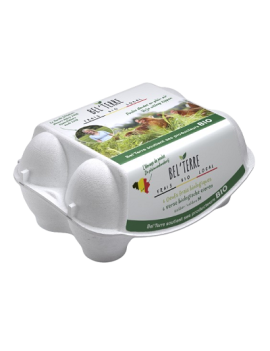 Carton de 20 boîtes de...