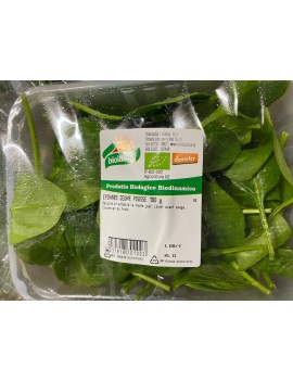 Jonge spinaziescheuten...