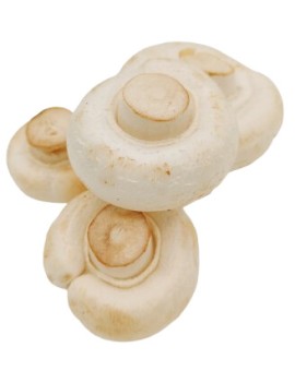 Champignon blanc (3...