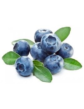 Myrtille (1 pc - 125...