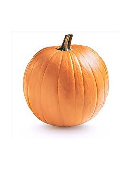 Citrouille (12 kg) -...