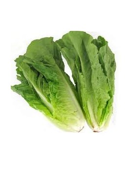 Salade mini romaine (1...