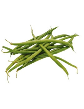 Haricot vert (5 kg) -...