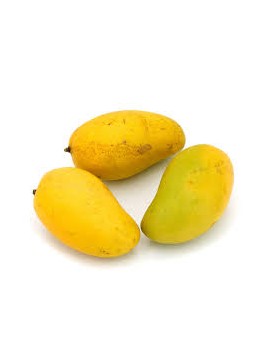 Ataulfo-mango (4,5 kg)...