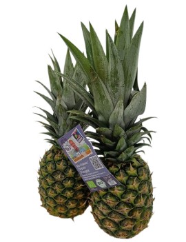 Sweet ananas (1 st) -...