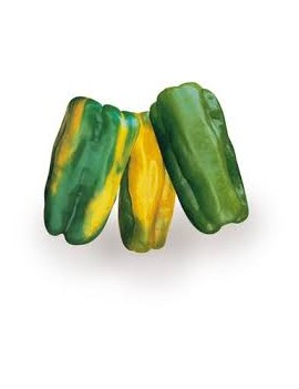 Poivron jaune (5 kg) -...