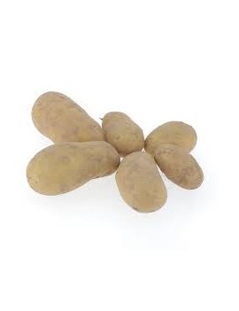 Pomme de terre chair...