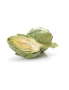 Artisjok (8 kg) - cat....