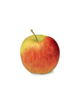Pomme Jonagored cal...