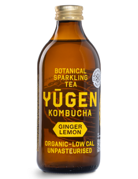 DISPO 07/04 - Kombucha...
