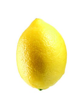 Citron Verna cal. 3/4...