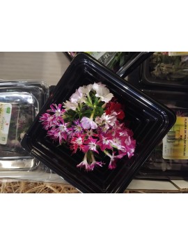 Eetbare bloemen (1...