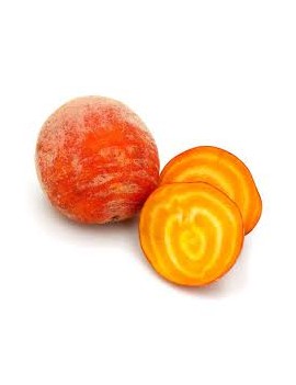 Gele biet (5 kg) -...