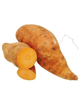 Patate douce cal. S (6...