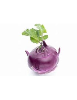 Paars koolrabi (1...