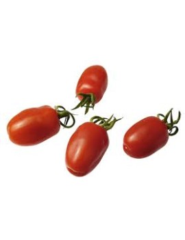 Tomate mini San...